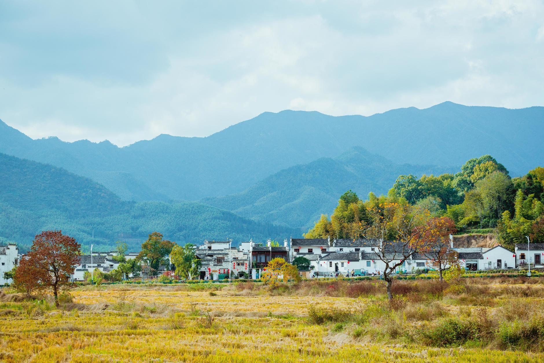 安徽的温馨时光,友情、家庭与美好日常