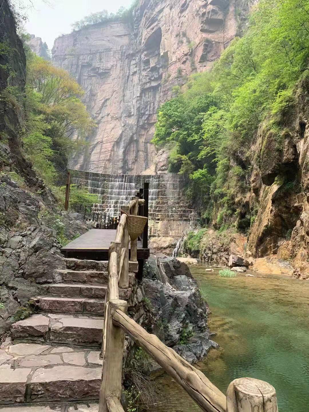 河南,古老活力之地,绿意盎然🍃