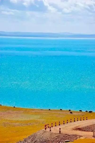 夏韵青海，友谊浓香