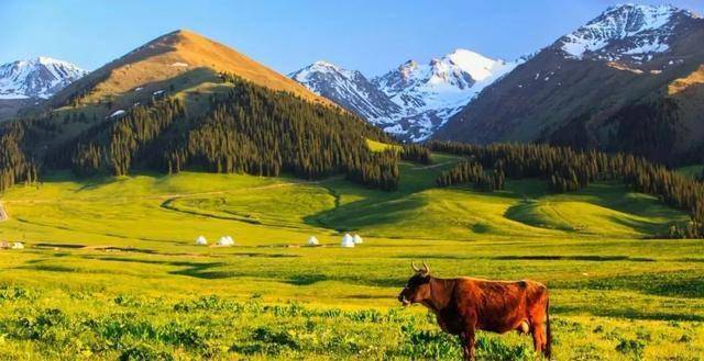 西域秘境,新疆的神秘与美丽