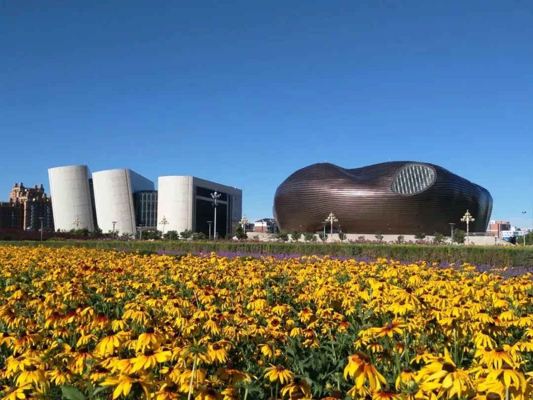 鄂尔多斯梦幻草原，诗意远方等你邂逅